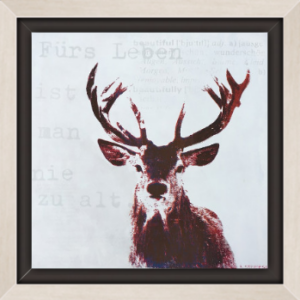 Roter Hirsch und leben